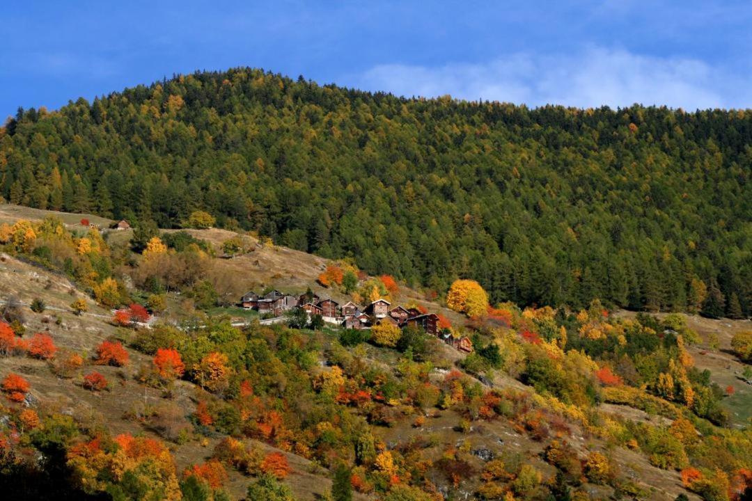 Cosy Studio For 5 Near Ski Lift, Les Gentianes Thyon-Thyon-Les Collons Esterno foto